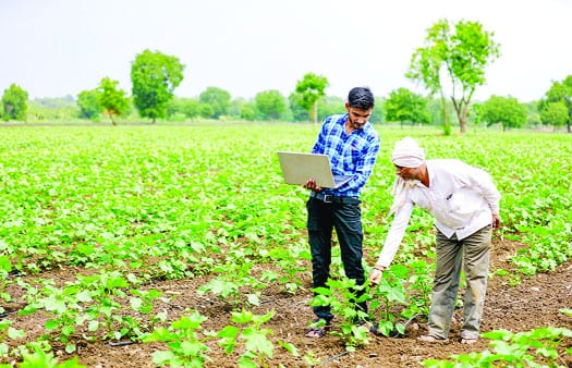 Growers can empower themselves through a livelihood strategy that collectivises the smaller producers into FPOs which are then integrated into an inclusive value chain