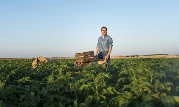 "The real key is to treat potato carefully, as if it were a fruit" JAVIER MELENDEZ. From a childhood in the countryside to running the first national potato operator, Potatoes Meléndez