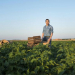 "The real key is to treat potato carefully, as if it were a fruit" JAVIER MELENDEZ. From a childhood in the countryside to running the first national potato operator, Potatoes Meléndez