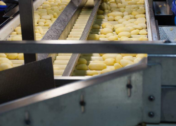 The Dutch potato processors processed 318,700 tonnes of potatoes in September to 146,600 tonnes of pre-baked product and 25,000 tonnes of other products. That's a slight plus compared to August.