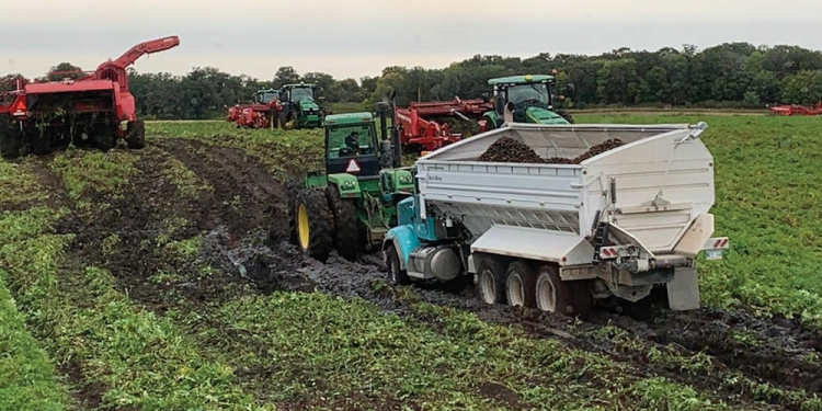 Potato producers have been spared sights like this in 2020, although yields may have fallen short of what many producers would have liked. Photo: John Sheldon Wiebe