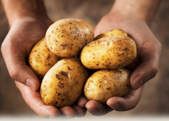 Potatoes reduce arable sales