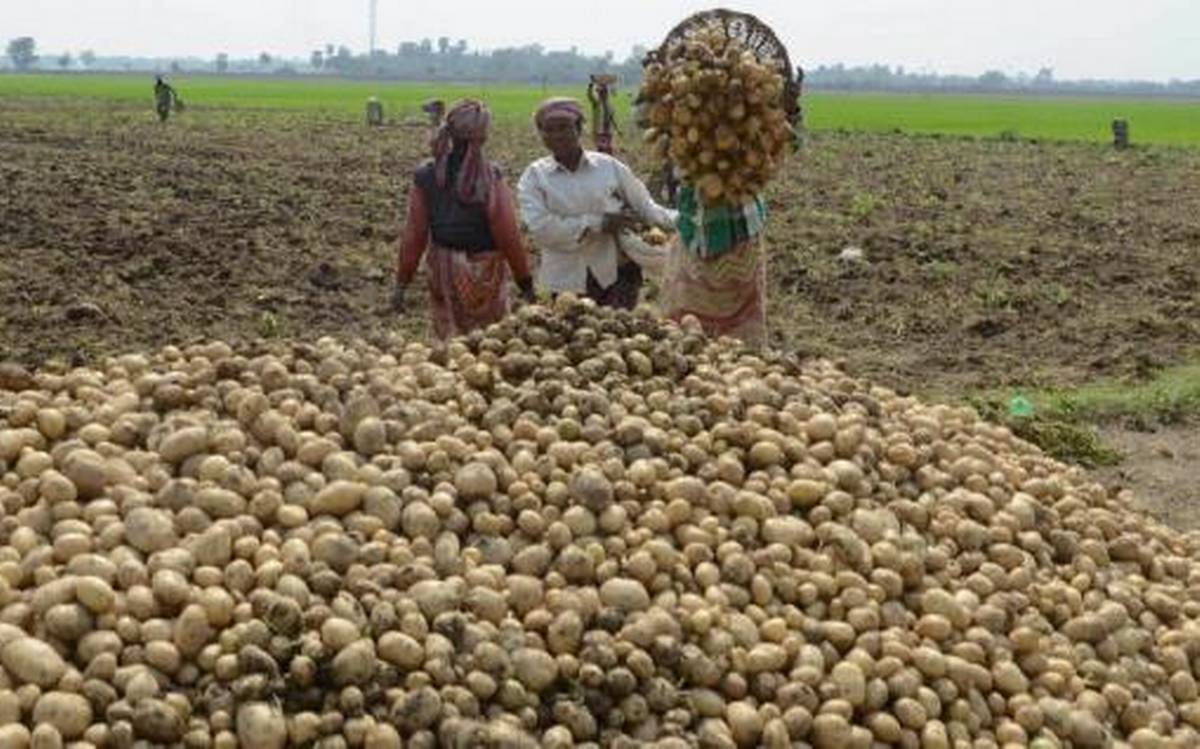 Stakeholders Push To Unlock Africa’s Agricultural Mechanisation Potential