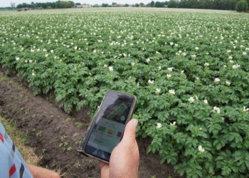 Precision Farming