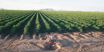 Subsurface Drip Irrigation System for Row Crops and Orchards