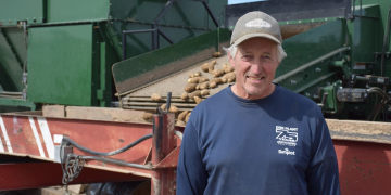 More Than a Shiny Coat of Paint