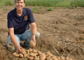 ARS research geneticist Shelley Jansky holds harvested diploid potatoes in central Wisconsin. This hybrid potato has two sets of chromosomes, in contrast to current potato cultivars which have four sets. d4342-1