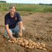 ARS research geneticist Shelley Jansky holds harvested diploid potatoes in central Wisconsin. This hybrid potato has two sets of chromosomes, in contrast to current potato cultivars which have four sets. d4342-1