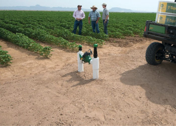 drip irrigation