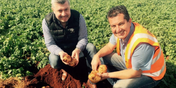 Potato deal strengthens Mitolo as it digs in for new season