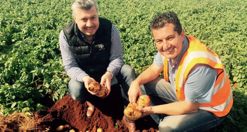 Potato deal strengthens Mitolo as it digs in for new season 34 Potato deal strengthens Mitolo as it digs in for new season