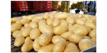 Brazil: For the second month in a row, potato prices are sharply rising