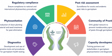 CGIAR Germplasm Health Units organize Phytosanitary Awareness Week & Global Webinars on “Phytosanitary Safety for Transboundary pest prevention”