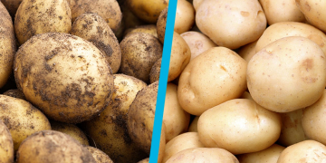 Hard polishing before cutting for crisps with Wyma Vege-Polisher™ system