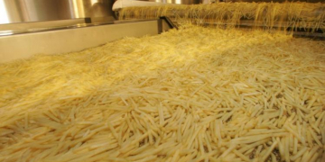 Colombia: Processed potatoes, alternative to overcoming the crisis