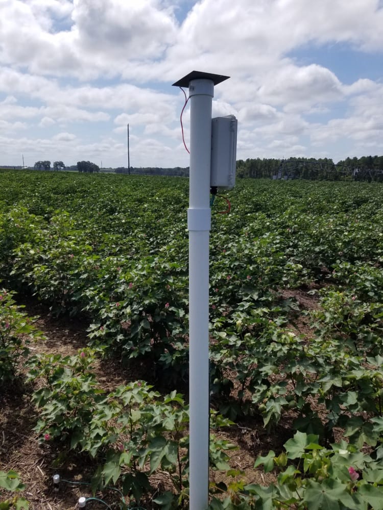Investigadores de Clemson desarrollan tecnologías para mejorar la eficiencia del uso del agua en la agricultura (universidad)
