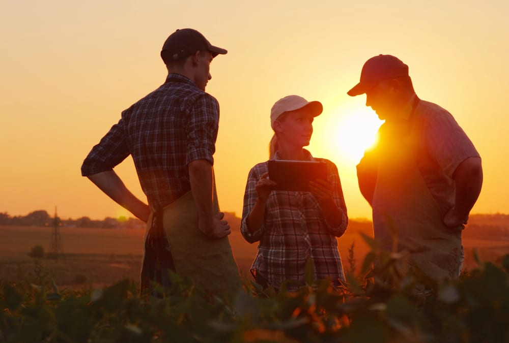 Perception of sector is changing-alternative view 30 about off-farm income