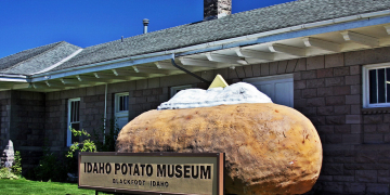 Agritourism: Farm businesses to be surveyed ahead of predicted boom