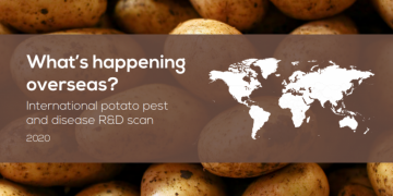 International potato pest and disease R&D scan
