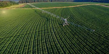Water usage in the U.S. is declining for most crops and livestock production