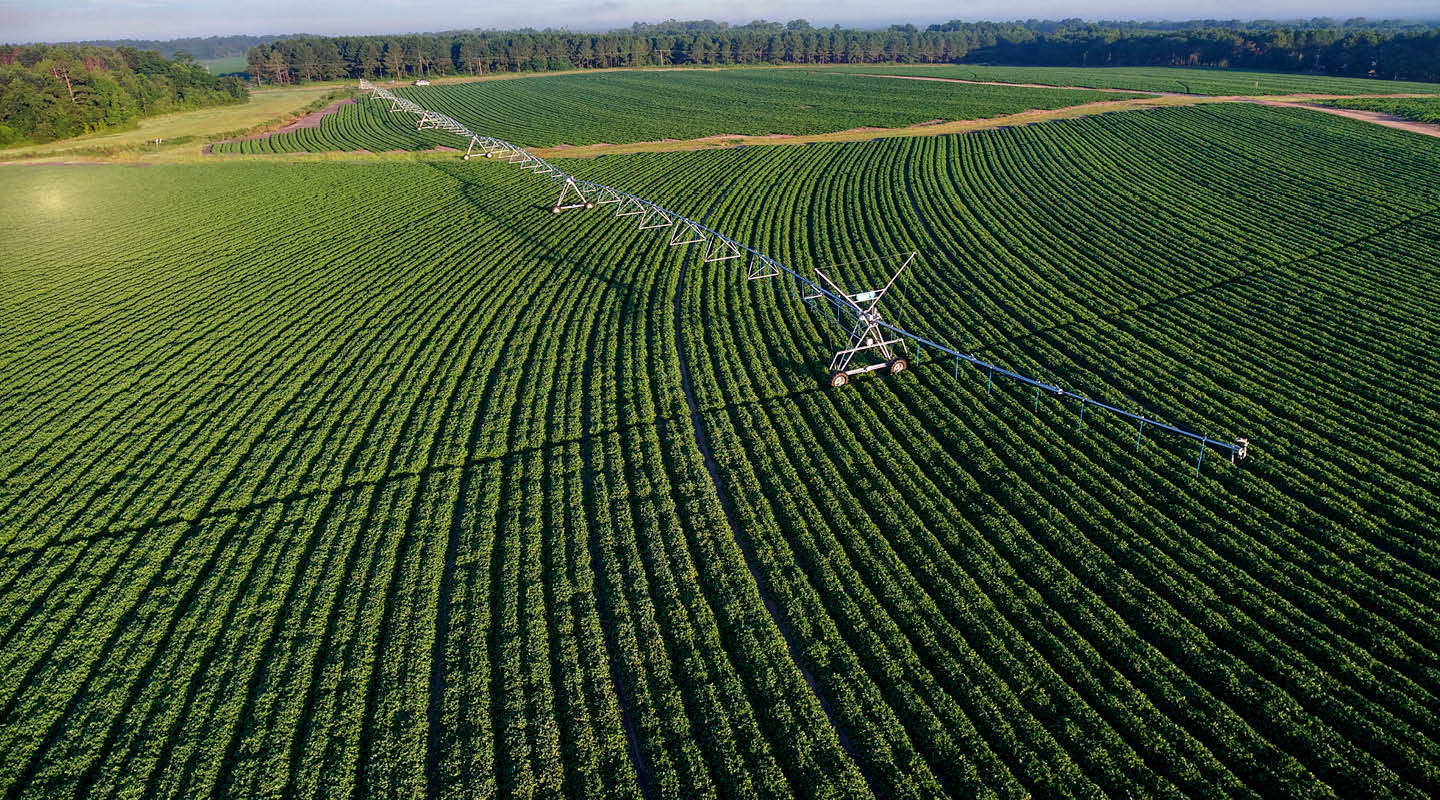 Water usage in the U.S. is declining for most crops and livestock production