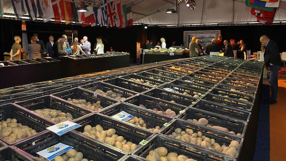 Variety show series: Schaap Holland: Search for sustainable potato variety 48 Variety show series: Schaap Holland: Search for sustainable potato variety