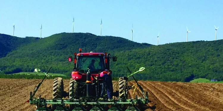 Canadian potato growers