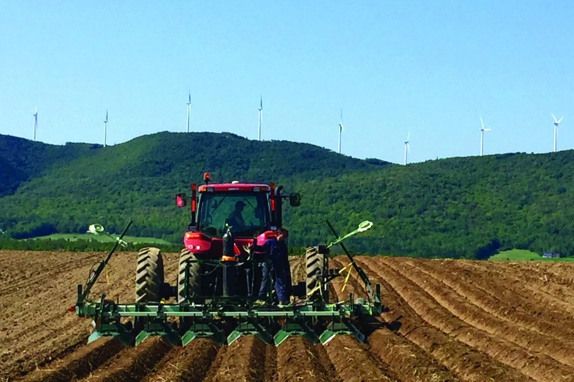 Canadian potato growers