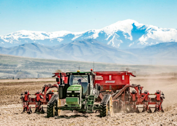 Idaho potato field