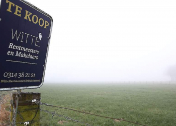 More German farmers are buying land in the Netherlands