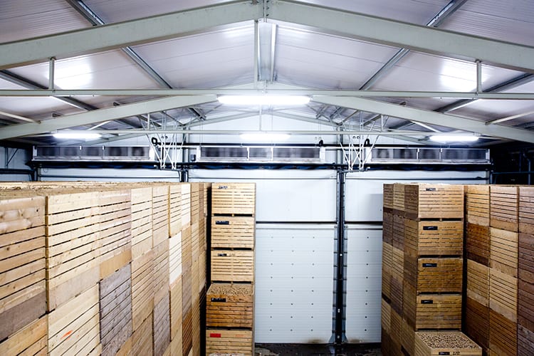 Seedstock Storage