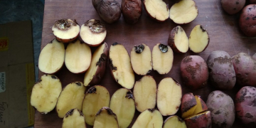 Regular store checks vital this season for reducing risks