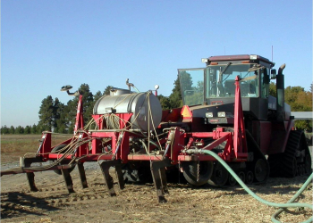 Idaho potato field