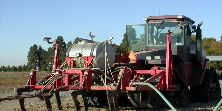 Idaho potato field