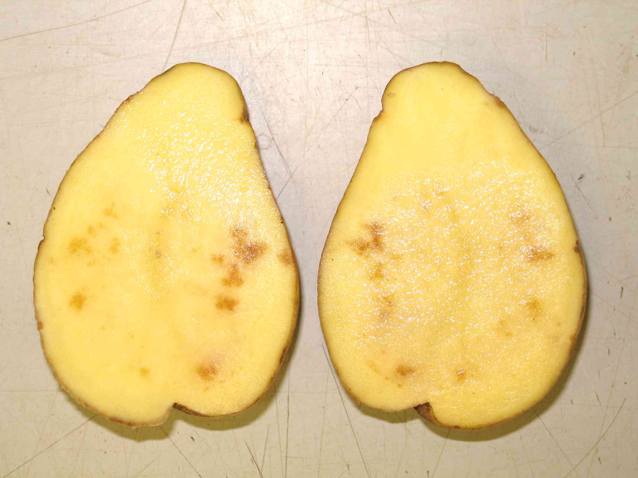 Calcium’s role in potato quality, production