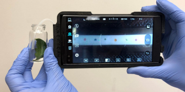 Leaves or soils – testing in hands of farmers