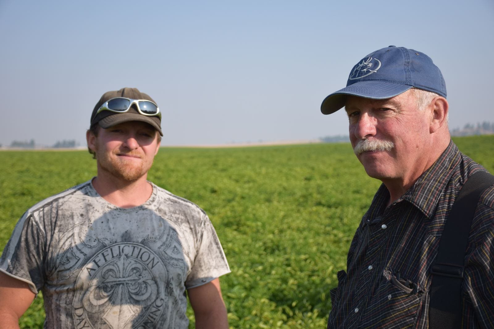 Seeds potato grower - happy to be here 27 Seeds potato grower – happy to be here