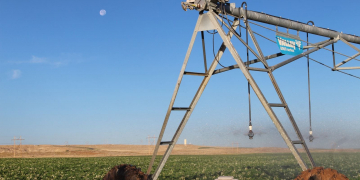 Applying nutrients to vegetables via irrigation