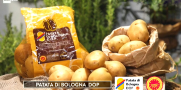 Lockdown in Italy increased sales of Patata di Bologna potato