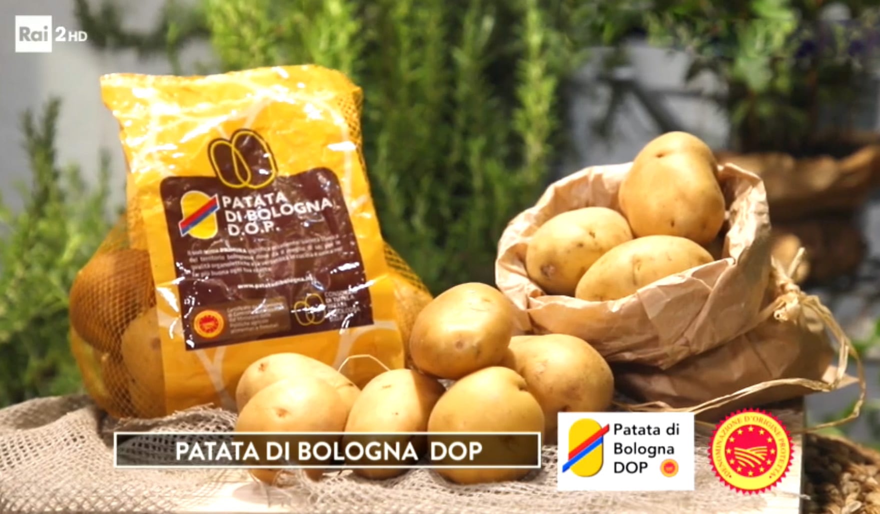 이탈리아 봉쇄로 볼로냐 감자 7종 판매 증가 이탈리아의 폐쇄로 Patata di Bologna 감자 판매 증가