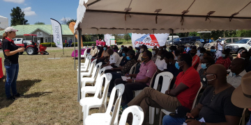 Hope for potato farmers as NPCK steps in to address storage challenges