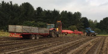 Public trust in British farming sees boost during pandemic