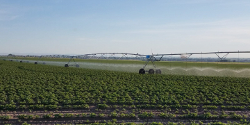 Effective Potato Irrigation with Komet Pivot Sprinkler Products