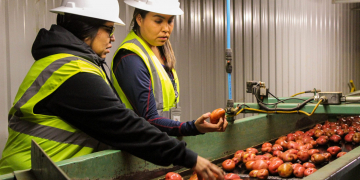 Navajo Agricultural Products Industry