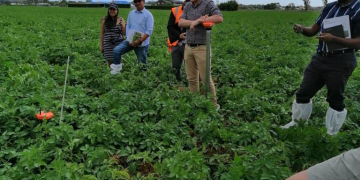 Perception of sector is changing