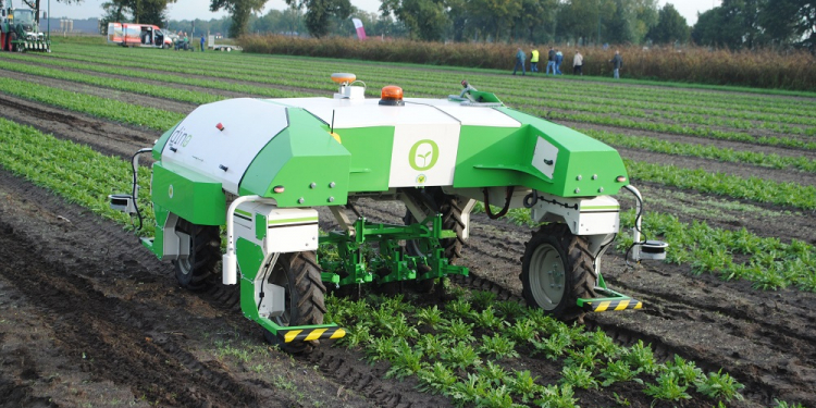 weeding robot