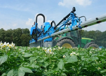 against sprouting potatoes