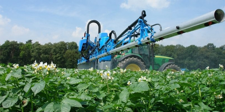 against sprouting potatoes