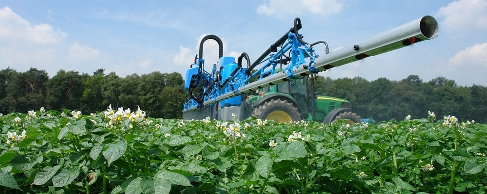 against sprouting potatoes