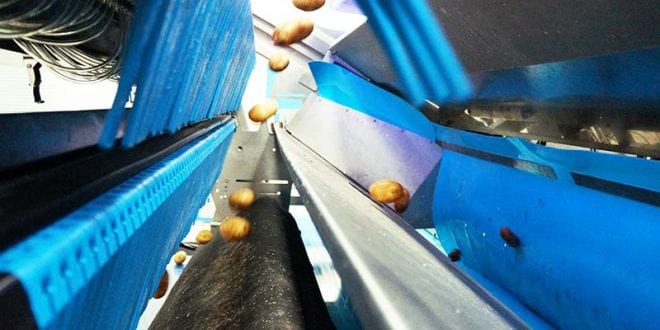 ORTOFRUTTICOLA PARMA TURNS TO TOMRA FOOD FOR SORTER UPGRADE 9 ORTOFRUTTICOLA PARMA TURNS TO TOMRA FOOD FOR SORTER UPGRADE